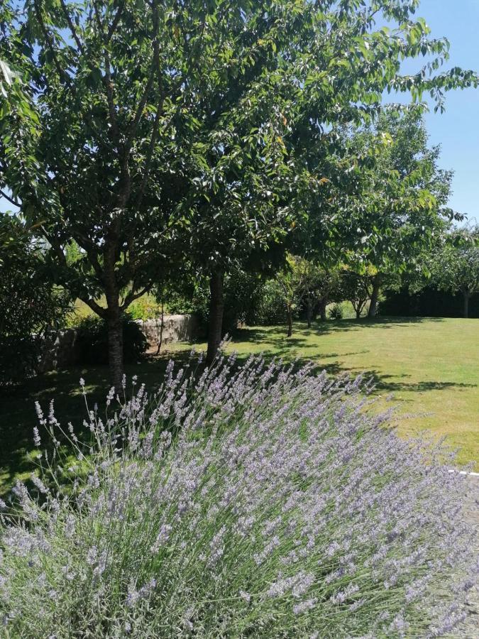 Domaine Des Deux Rivieres Bed and Breakfast Meilhan-sur-Garonne Exteriör bild