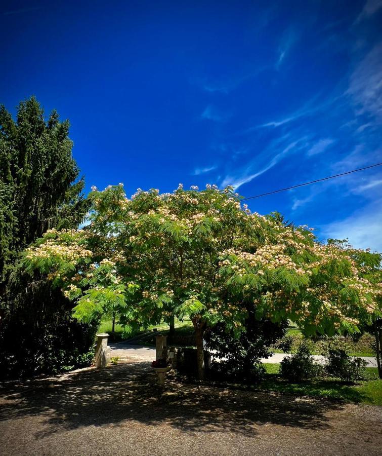 Domaine Des Deux Rivieres Bed and Breakfast Meilhan-sur-Garonne Exteriör bild